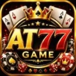 AT77 Game
