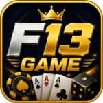 F13 Game