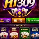 Hi309 Game